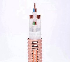 珠江電纜YTTW柔性礦物質電纜